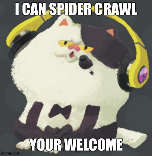 insert picture of veemo smiling here | I CAN SPIDER CRAWL; YOUR WELCOME | image tagged in splatoon cat | made w/ Imgflip meme maker