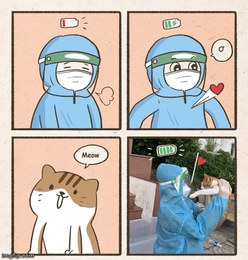 Cats brings happiness | image tagged in comics,cats | made w/ Imgflip meme maker