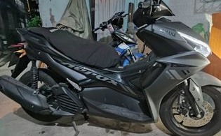 roxy Blank Meme Template