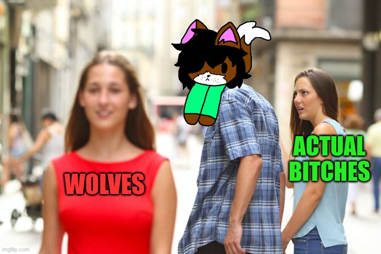 sorry, we anti furries, always have certified bitch magnet cards | ACTUAL BITCHES; WOLVES | image tagged in memes,distracted boyfriend | made w/ Imgflip meme maker