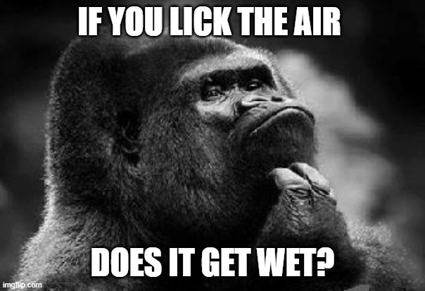 Hmmmmm 2 | IF YOU LICK THE AIR; DOES IT GET WET? | image tagged in thinking monkey,hmmm | made w/ Imgflip meme maker