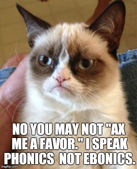 Grumpy Cat Meme | NO YOU MAY NOT "AX ME A FAVOR." I SPEAK PHONICS  NOT EBONICS. | image tagged in memes,grumpy cat | made w/ Imgflip meme maker