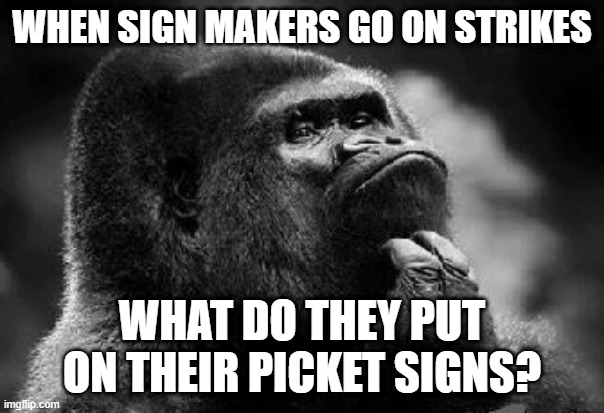 Hmmmm | WHEN SIGN MAKERS GO ON STRIKES; WHAT DO THEY PUT ON THEIR PICKET SIGNS? | image tagged in thinking monkey | made w/ Imgflip meme maker