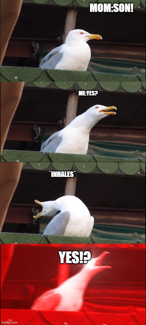 BRUH | MOM:SON! ME:YES? `INHALES`; YES!? | image tagged in memes,inhaling seagull | made w/ Imgflip meme maker