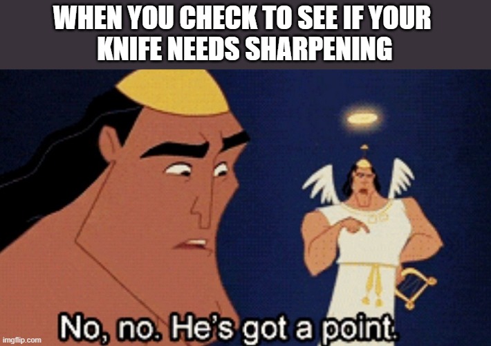 pffft |  WHEN YOU CHECK TO SEE IF YOUR 
KNIFE NEEDS SHARPENING | image tagged in no no he s got a point | made w/ Imgflip meme maker