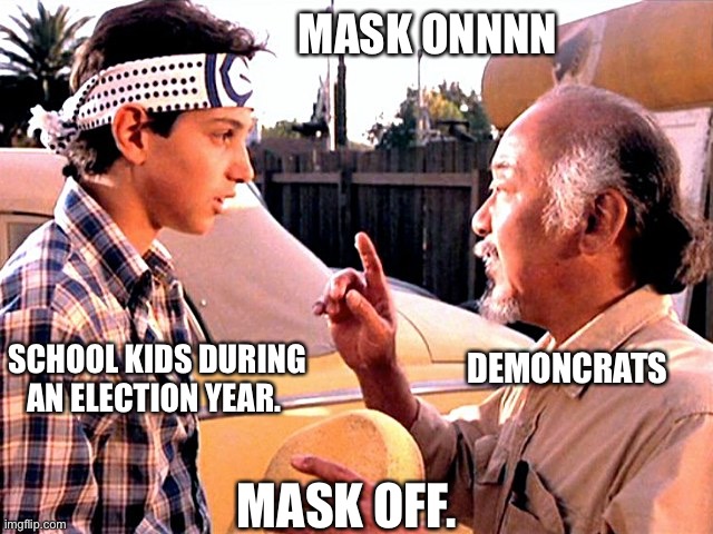 Election year shenanigans | MASK ONNNN; DEMONCRATS; SCHOOL KIDS DURING AN ELECTION YEAR. MASK OFF. | image tagged in democrats | made w/ Imgflip meme maker