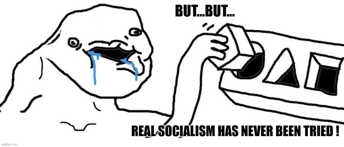 Brainlet blocks | BUT...BUT... REAL SOCIALISM HAS NEVER BEEN TRIED ! | image tagged in brainlet blocks | made w/ Imgflip meme maker