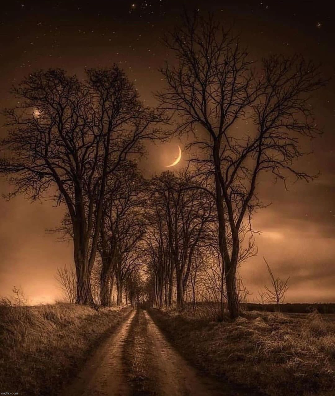 Spooky road | image tagged in awesome | made w/ Imgflip meme maker