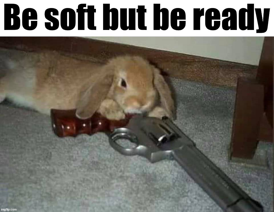 Be soft but be ready | image tagged in weapons | made w/ Imgflip meme maker