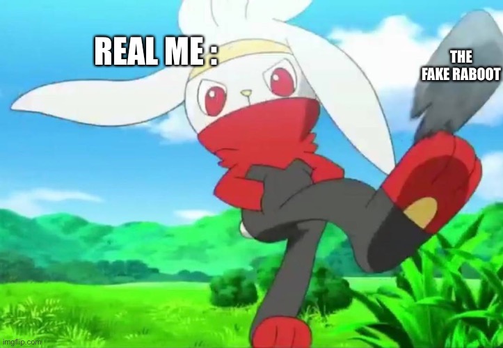 I want him gone | REAL ME :; THE FAKE RABOOT | image tagged in raboot | made w/ Imgflip meme maker