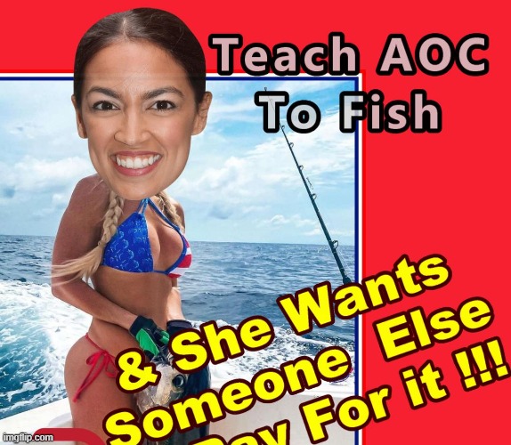 Teach AOC to Fish and She wants YOu to Pay For it !!! | image tagged in teach aoc to fish | made w/ Imgflip meme maker