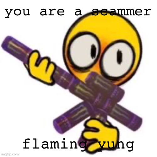 this is my ur going to brazil template | you are a scammer; flaming yung | image tagged in this is my ur going to brazil template | made w/ Imgflip meme maker