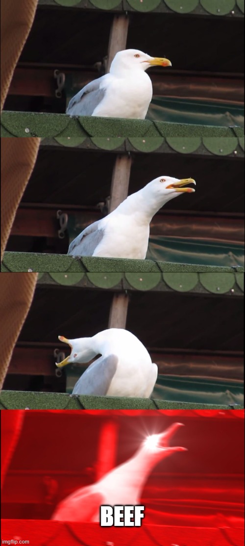 Beef | BEEF | image tagged in memes,inhaling seagull | made w/ Imgflip meme maker