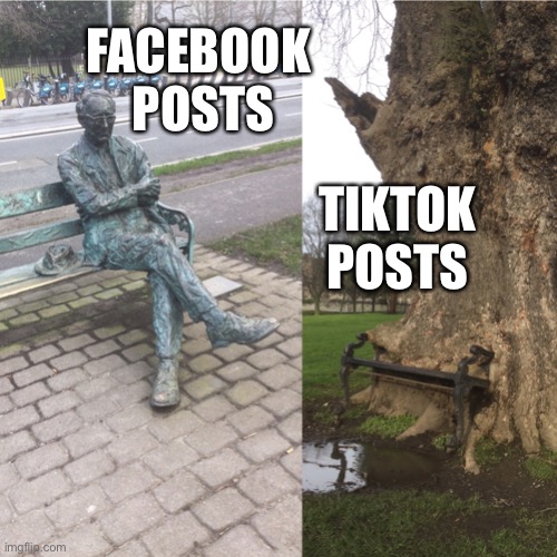 Social Media | FACEBOOK 
POSTS; TIKTOK
POSTS | image tagged in benchlife | made w/ Imgflip meme maker