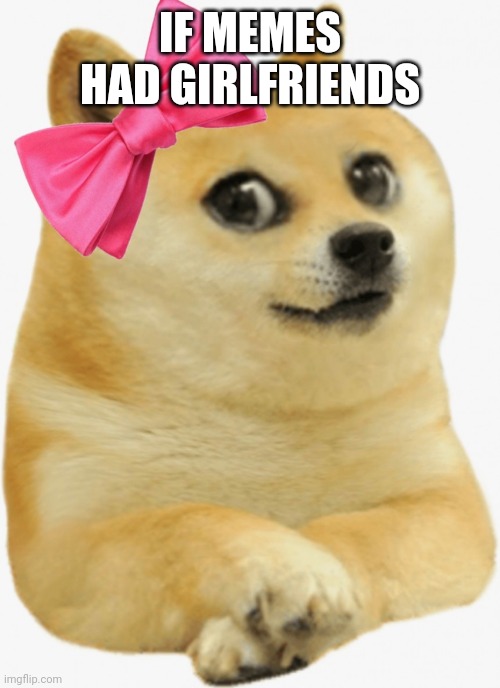 Cute Doge Girl | IF MEMES HAD GIRLFRIENDS | image tagged in cute doge girl | made w/ Imgflip meme maker