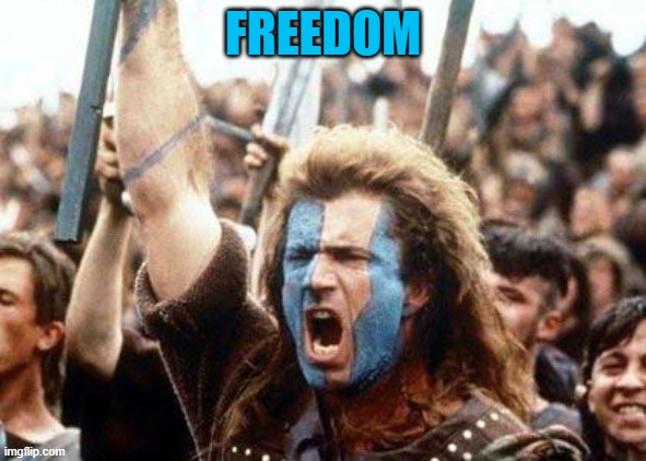 William Wallace | FREEDOM | image tagged in william wallace | made w/ Imgflip meme maker