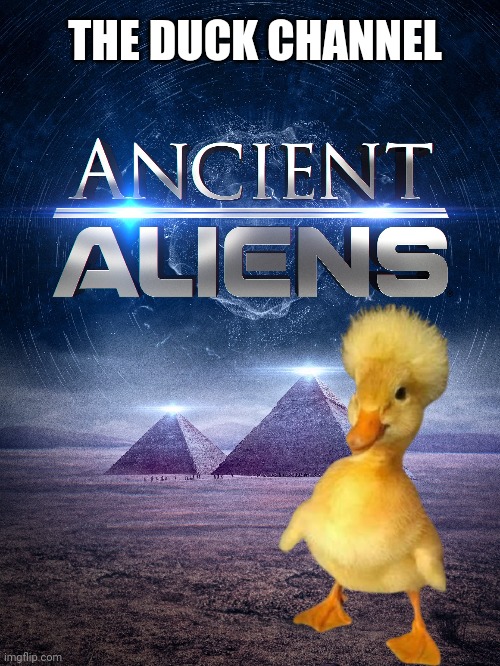 The Duck Channel |  THE DUCK CHANNEL | image tagged in conspiracy,ancient aliens,duck,lol,tv shows | made w/ Imgflip meme maker