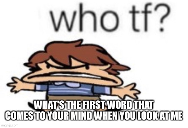 who tf | WHAT'S THE FIRST WORD THAT COMES TO YOUR MIND WHEN YOU LOOK AT ME | image tagged in who tf | made w/ Imgflip meme maker