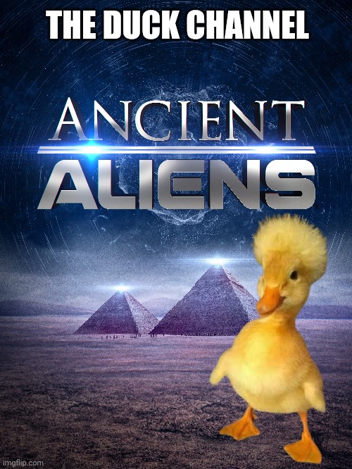 The Duck Channel | THE DUCK CHANNEL | image tagged in ducks,ancient aliens,tv,lol | made w/ Imgflip meme maker