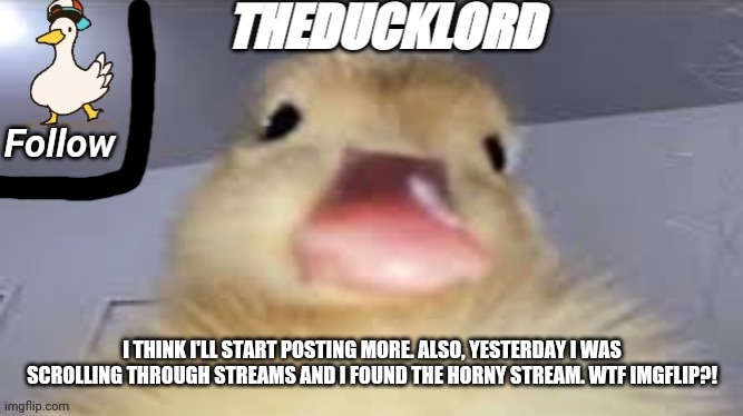 I lost faith in imgflip | I THINK I'LL START POSTING MORE. ALSO, YESTERDAY I WAS SCROLLING THROUGH STREAMS AND I FOUND THE HORNY STREAM. WTF IMGFLIP?! | image tagged in theducklord template 2 | made w/ Imgflip meme maker
