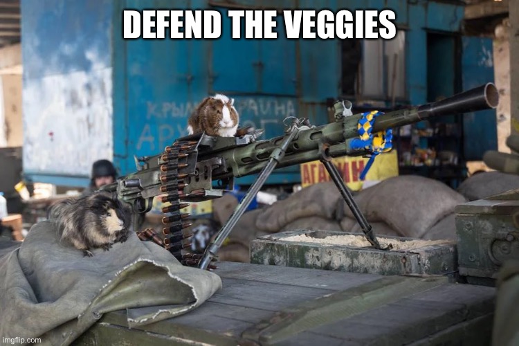  DEFEND THE VEGGIES | made w/ Imgflip meme maker