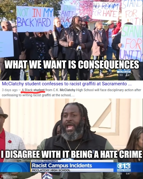 Consequences should be double for a hoax |  WHAT WE WANT IS CONSEQUENCES; I DISAGREE WITH IT BEING A HATE CRIME | image tagged in hoax,hate crime | made w/ Imgflip meme maker