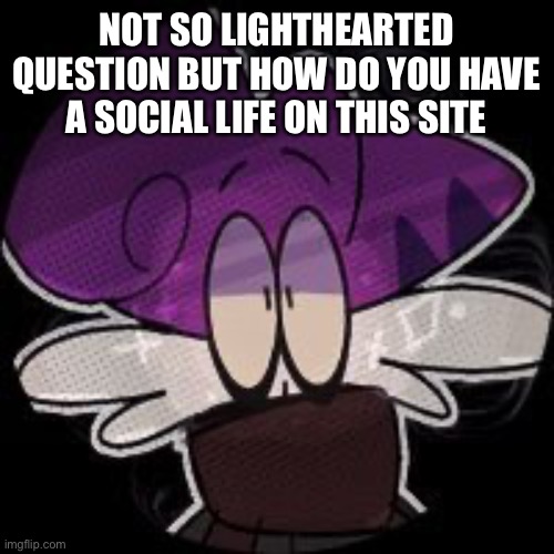 Out of everyone here I only talk to one person regularly | NOT SO LIGHTHEARTED QUESTION BUT HOW DO YOU HAVE A SOCIAL LIFE ON THIS SITE | made w/ Imgflip meme maker