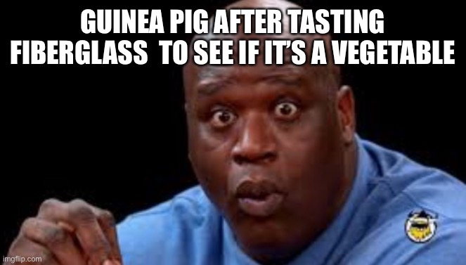 Black Guy Surprised | GUINEA PIG AFTER TASTING FIBERGLASS  TO SEE IF IT’S A VEGETABLE | image tagged in black guy surprised | made w/ Imgflip meme maker