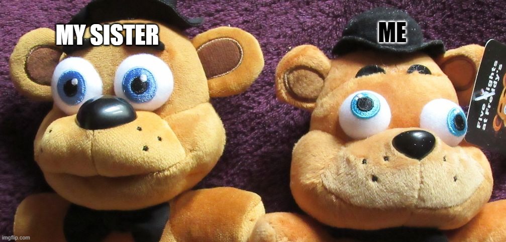 ok | ME; MY SISTER | image tagged in me x vs me x fnaf plushies | made w/ Imgflip meme maker