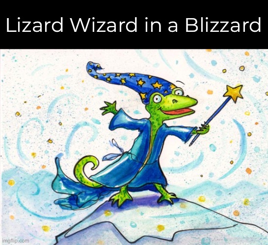 Lizard Wizard in a Blizzard | made w/ Imgflip meme maker
