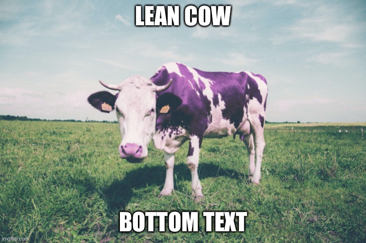 LEAN COW; BOTTOM TEXT | made w/ Imgflip meme maker