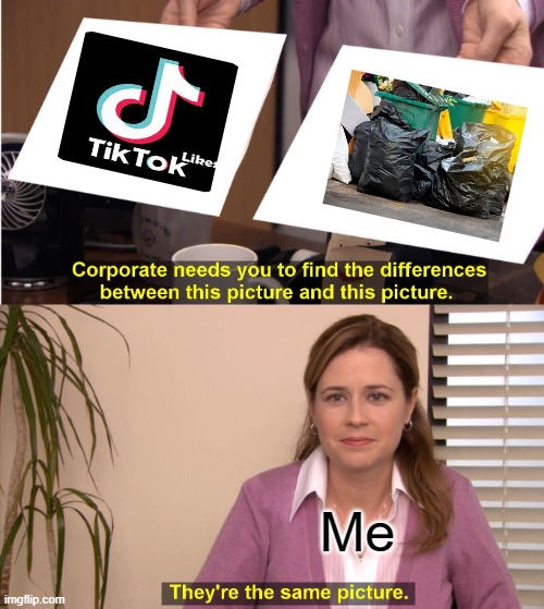 It is my opinion ok. | Me | image tagged in memes,they're the same picture | made w/ Imgflip meme maker