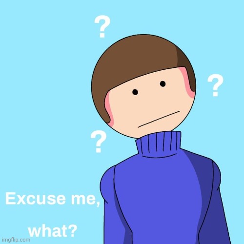 Excuse me, what? | image tagged in excuse me what | made w/ Imgflip meme maker