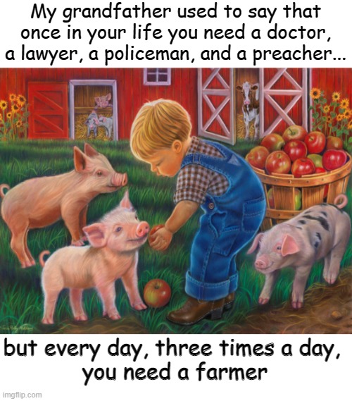 My grandfather used to say that once in your life you need a doctor, a lawyer, a policeman, and a preacher... but every day, three times a day, 
you need a farmer | image tagged in farmer | made w/ Imgflip meme maker