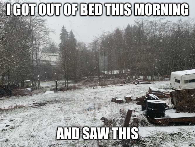 S n o | I GOT OUT OF BED THIS MORNING; AND SAW THIS | made w/ Imgflip meme maker
