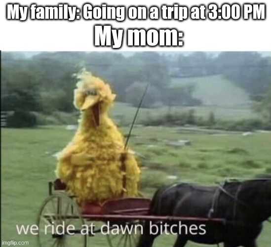 We ride at dawn bitches | My mom:; My family: Going on a trip at 3:00 PM | image tagged in we ride at dawn bitches | made w/ Imgflip meme maker