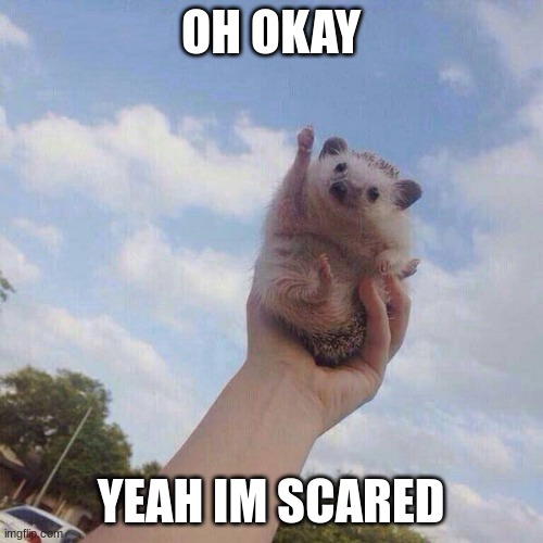 lets go | OH OKAY YEAH IM SCARED | image tagged in lets go | made w/ Imgflip meme maker