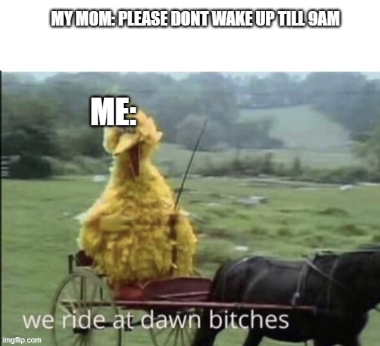 We ride at dawn bitches | MY MOM: PLEASE DONT WAKE UP TILL 9AM; ME: | image tagged in we ride at dawn bitches | made w/ Imgflip meme maker