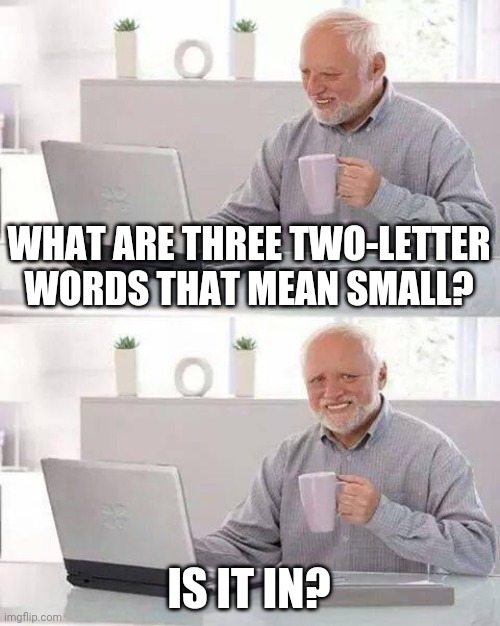 Hide the Pain Harold Meme | WHAT ARE THREE TWO-LETTER WORDS THAT MEAN SMALL? IS IT IN? | image tagged in memes,hide the pain harold | made w/ Imgflip meme maker