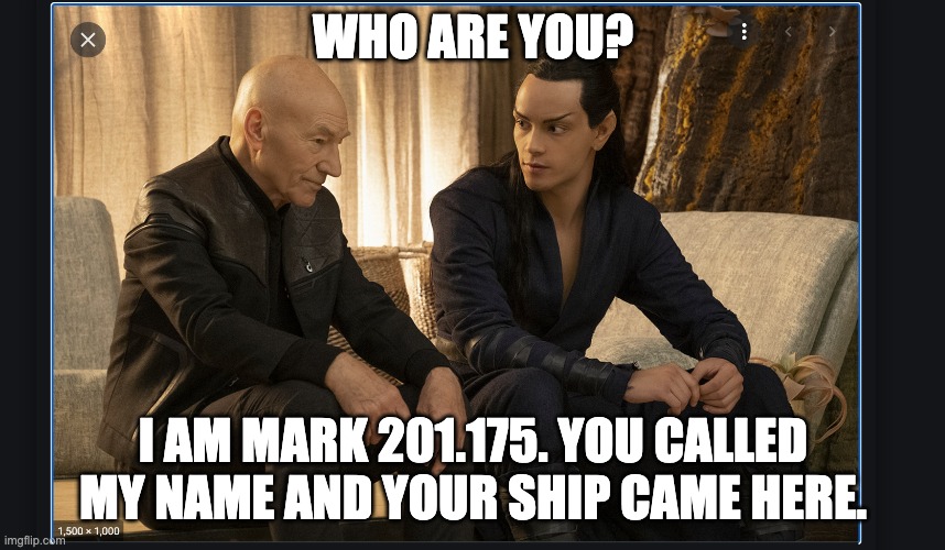 obscure reference |  WHO ARE YOU? I AM MARK 201.175. YOU CALLED MY NAME AND YOUR SHIP CAME HERE. | image tagged in star trek | made w/ Imgflip meme maker