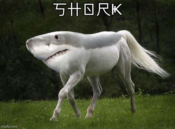 shork | 丂卄ㄖ尺Ҝ | image tagged in shork | made w/ Imgflip meme maker