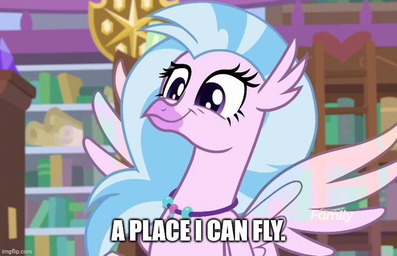 A PLACE I CAN FLY. | made w/ Imgflip meme maker