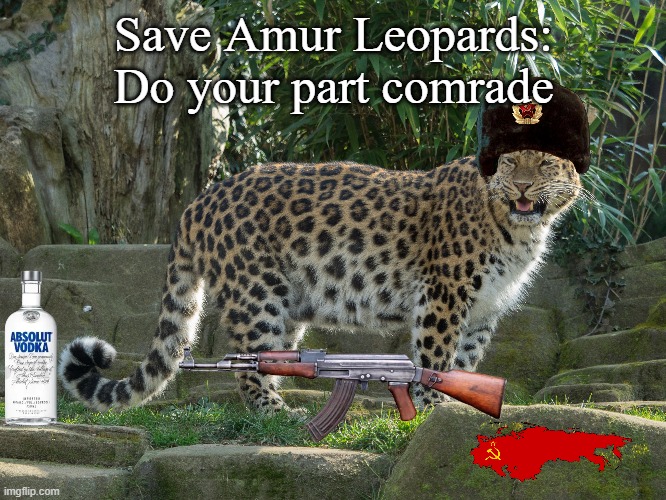 Save the Amur Leopard |  Save Amur Leopards: Do your part comrade | image tagged in conservation,amur leopards | made w/ Imgflip meme maker