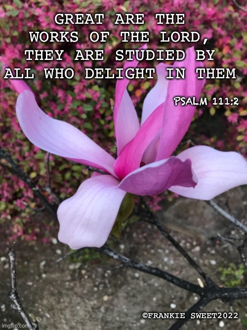 Great are the works of the Lord | GREAT ARE THE WORKS OF THE LORD, THEY ARE STUDIED BY ALL WHO DELIGHT IN THEM; PSALM 111:2; ©FRANKIE SWEET2022 | image tagged in lord,works,flowers,nature,psalms,orchid | made w/ Imgflip meme maker