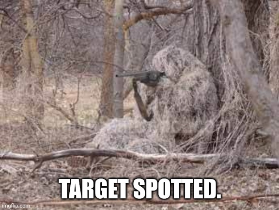 Ghillie suit | TARGET SPOTTED. | image tagged in ghillie suit | made w/ Imgflip meme maker