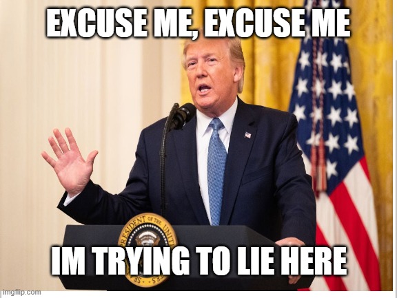 nO i WoNt ExCuSe YoU | EXCUSE ME, EXCUSE ME; IM TRYING TO LIE HERE | image tagged in white background | made w/ Imgflip meme maker