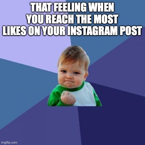 Success Kid | THAT FEELING WHEN YOU REACH THE MOST LIKES ON YOUR INSTAGRAM POST | image tagged in memes,success kid | made w/ Imgflip meme maker