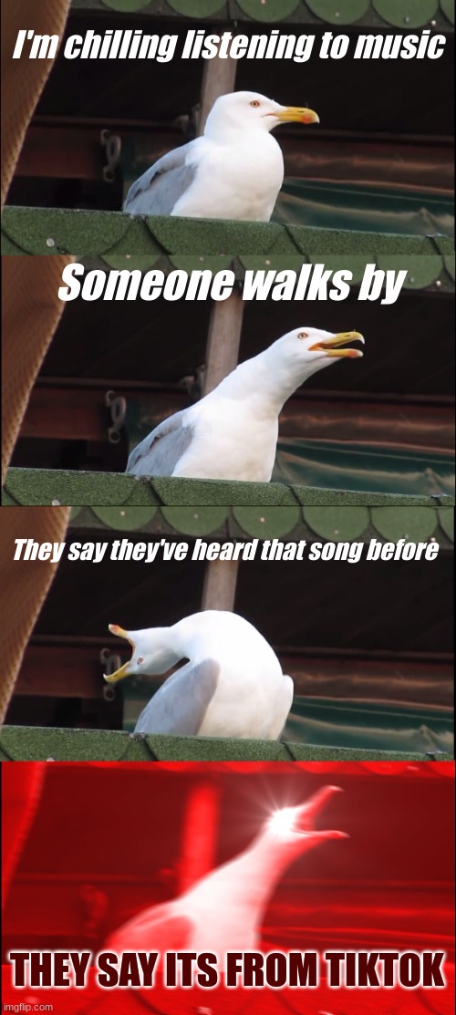 Its not from tiktok, the tiktok sound is from the song | I'm chilling listening to music; Someone walks by; They say they've heard that song before; THEY SAY ITS FROM TIKTOK | image tagged in memes,inhaling seagull | made w/ Imgflip meme maker