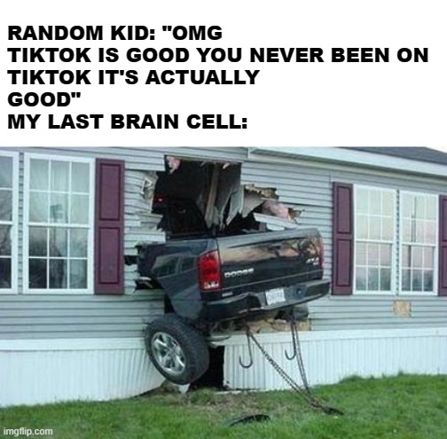 funny car crash | RANDOM KID: "OMG TIKTOK IS GOOD YOU NEVER BEEN ON 
TIKTOK IT'S ACTUALLY 
GOOD" 
MY LAST BRAIN CELL: | image tagged in funny car crash | made w/ Imgflip meme maker