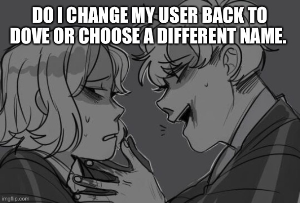 Fighting between dove and Silkmoth rn | DO I CHANGE MY USER BACK TO DOVE OR CHOOSE A DIFFERENT NAME. | made w/ Imgflip meme maker